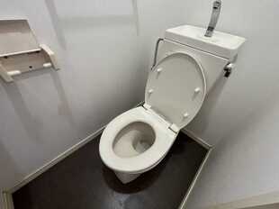 Pic8