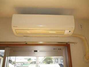 Pic11