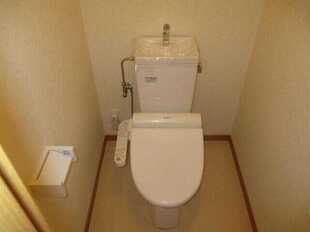 Pic15