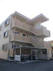 Pic19