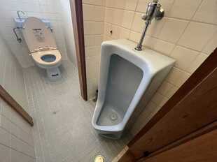 Pic8
