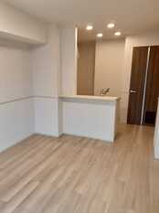 Pic1