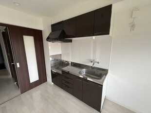 Pic11