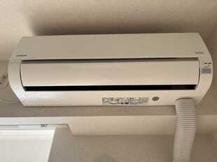 Pic11