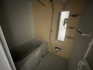 Pic15