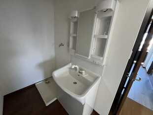 Pic3
