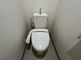Pic7
