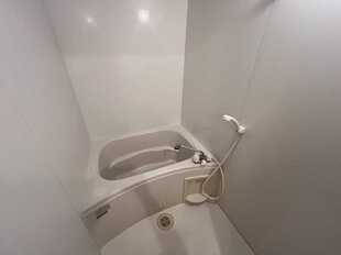 Pic8