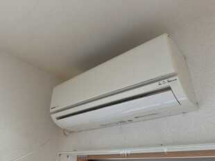 Pic15