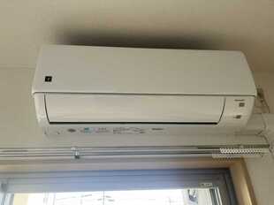 Pic11