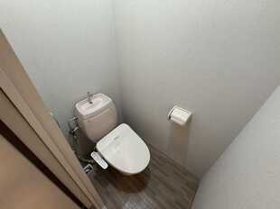 Pic7