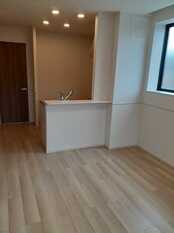 Pic1