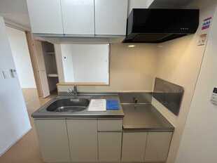 Pic8