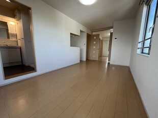 Pic11