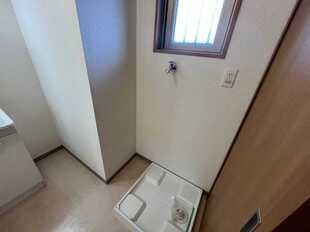 Pic3