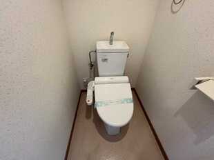 Pic9