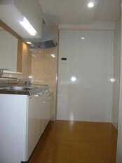 Pic8