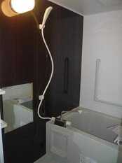 Pic11