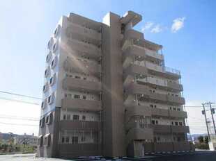 Pic19
