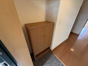 Pic3