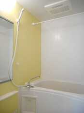 Pic3