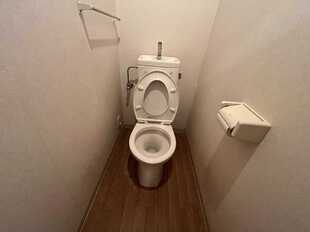 Pic5