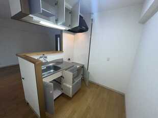 Pic11
