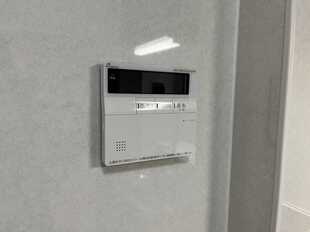 Pic11