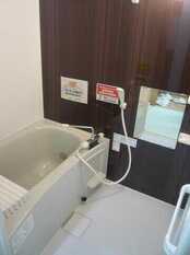 Pic11