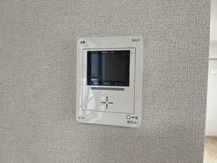 Pic11